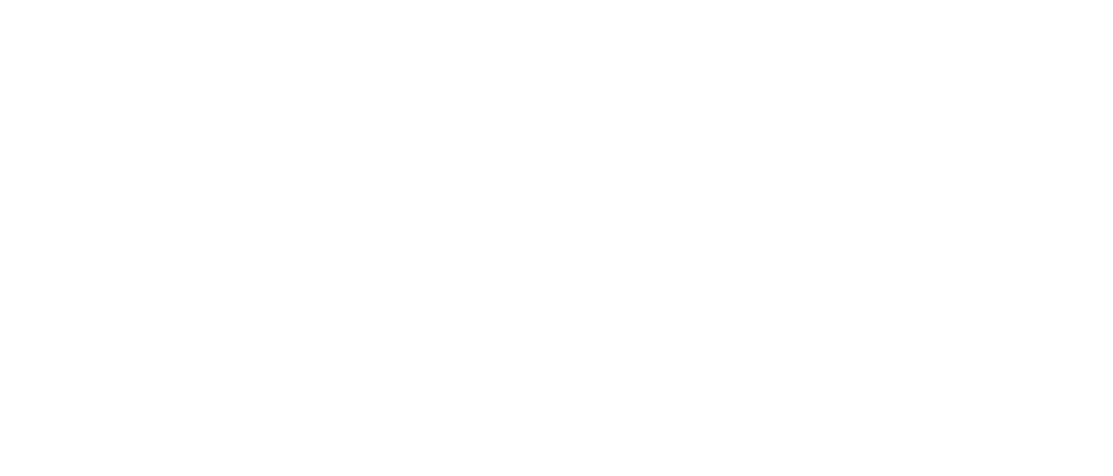Surcomimpex N.V.